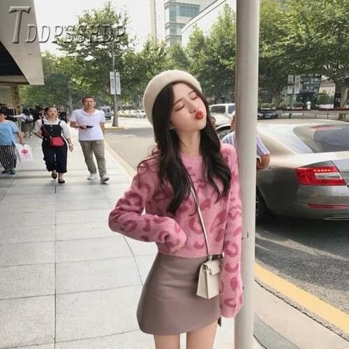 2019 Autumn Winter Casual Leopard Women Sweater Round Neck Pullover Female Sweaters