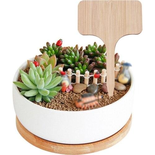 T-Type Bamboo Plant Labels Eco-Friendly Wooden Plant Sign Tags Garden Markers for Bonsai Seed Potted Herbs Flowers Tool