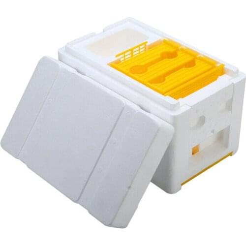 Bee Hive Beekeeping King Box Pollination Box Foam Frames Beekeeping Tool Kit