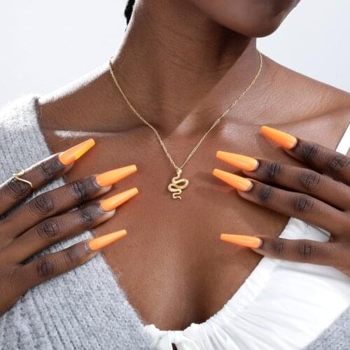 Snake Pendant Necklaces Stainless Steel Gold Chain Necklace For Women Girls Choker Femme 2020 Fashion Boho Jewelry Gifts