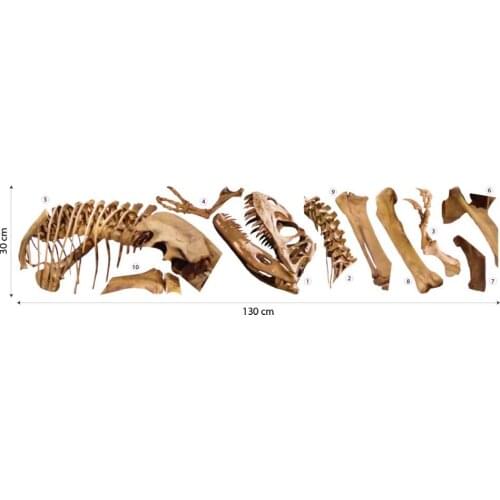 UVB00609 dinosaur wall stickers wall decoration kids bedroom baby nursery room bed