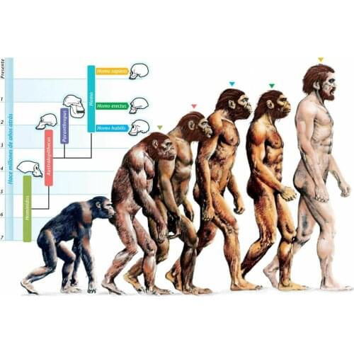 The Evolution of Humans Art Film Print Silk Poster Home Wall Decor 24x36inch