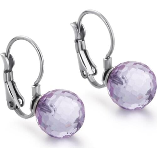 Fashion Colorful Crystal Glass Shrimp Buckle Earrings Simple Titanium Steel Jewelry Woman Gift Never Fade Drop Shipping