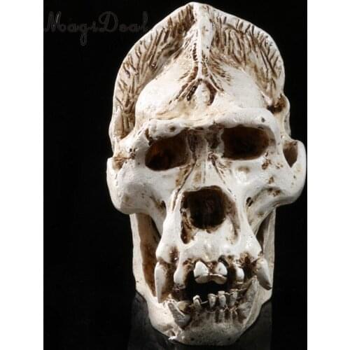 Realistic Model Gorilla Anatomy Skull Head Drawing Resin Collectable White