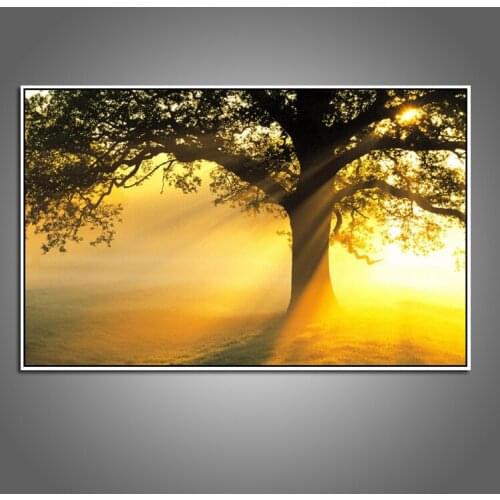 Big Size Posters and Prints Flowers Landsape Canvas Quardro Oil Painting Sunshine Wall Pictures for Living Room Home Decoration