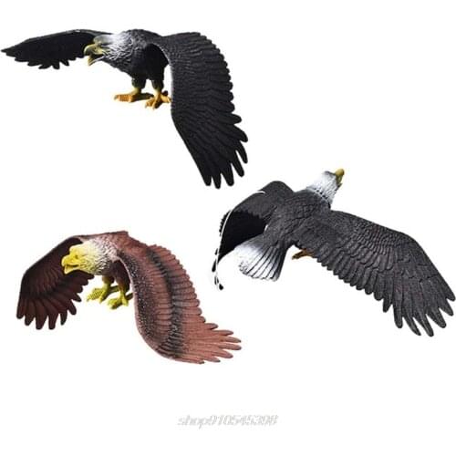 Simulation Solid Static Birds Model Ornaments Realistic Eagle Children Educational Props Scene Decoration Kids M02 21 Dropship