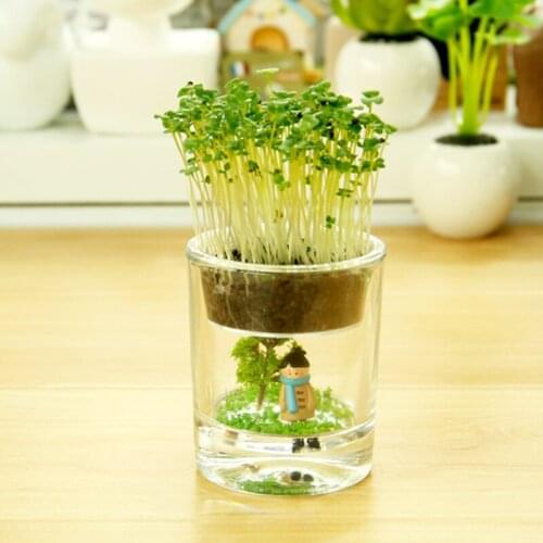 Eco-e garden fairy cup potted landscape ecology bottle creative desktop widgets radiation plant a generation of fat