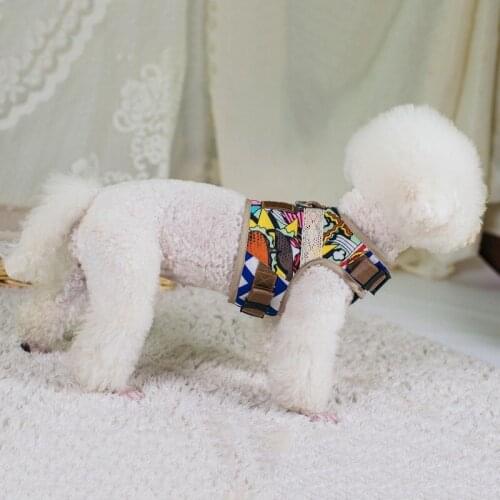 Small Dog Leash With Pet Teddy Collar VIP Pet Chest Harness Color XL