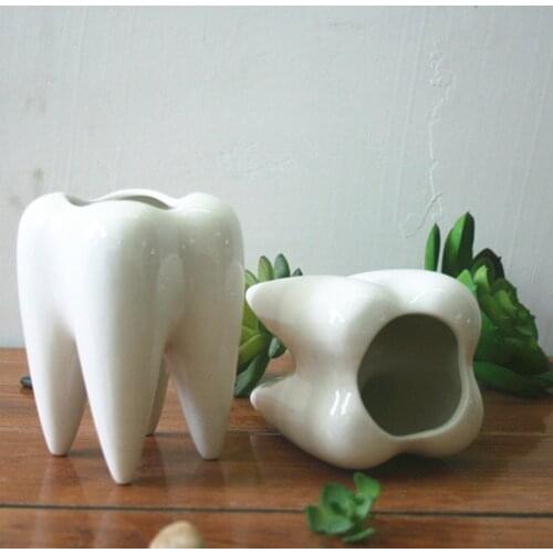 White Ceramic Fleshy Small Flowerpot Tooth Shape Table Plant Pot Culture Flower Pot Home Decoration Bonsai Pots For Green Plants