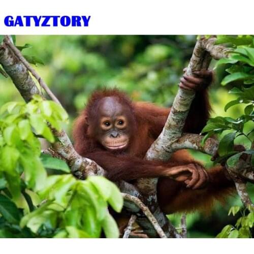 GATYZTORY Oil Painting Jungle Orangutan Drawing On Canvas Handpainted Art Gift Diy Coloring By Number Animal Home Decor