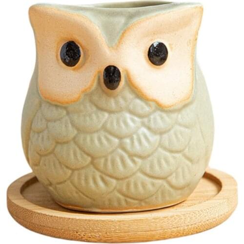 Mini Owl Succulent Flower Pot Desktop Decoration