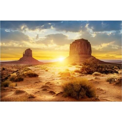 Desert Style Aquarium Fish Tank Background Poster PVC Adhesive Decor Paper Aquarium Fish Thick Background Decorative Painting