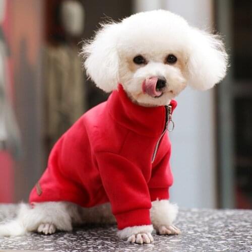 Winter Dog Hoodies Pet Clothes Small Medium Cat Dogs Warm Velvet Zipper Sweater Chihuahua Pugs French Bulldogs Pet Clothing
