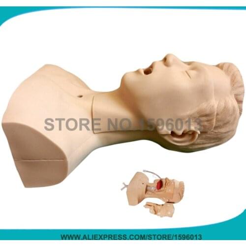 Vivid Suction Training Head Model,Medical Teaching Suction Simulation Model