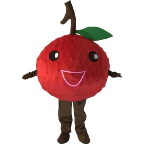 Fruit Litchi Mascot Costume Fancy Dress for Halloween Carnival Party Fursuit Adult Cartoon Character Someone Inside Cartoon