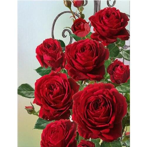 3d diy Diamond Painting red rose full Cross Stitch 5d Embroidery Mosaic Crystal paintings diamond picture flowers art YG1674