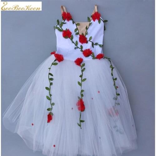 Adult Ballet Dress Modern Dance Fairy Long Mesh Dress Performance Wear Girls Flower Puffy Mesh Dress girls dancewear