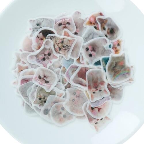 100pcs/pack Cat Flower Diary Memo Stickers Pack Kawaii Scrapbooking Stickers Drop Shipping