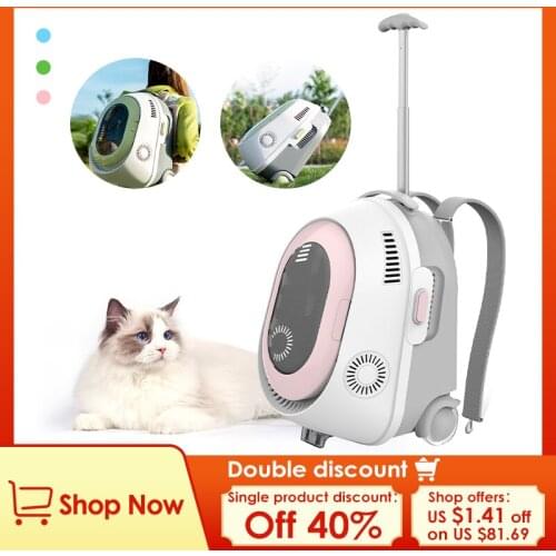 PeTnessGO Products For Cats