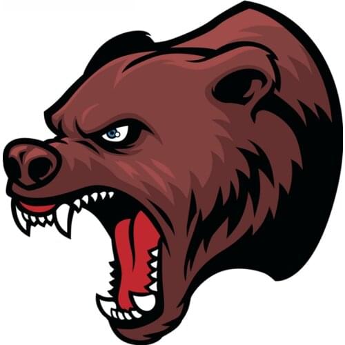 SZWL Brown Angry Grizzly Bear Head Car Sticker Creative Colorful Car Stickers Auto Automobile Motorcycles Decals PVC,14cm*14cm
