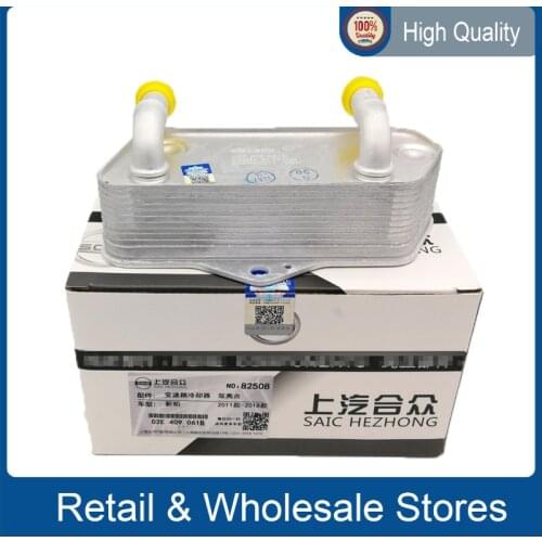 02E409061B Auto Transmission Oil Cooler for 6 Speed DSG New passat Magotan Tiguan Scirocco R dual clutch