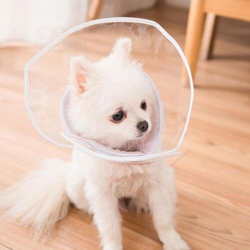 Cat Recovery Collar Cat Cone Adjustable Pet Protective Collar Pet Wound Healing Protective Cone For Puppy Kitten Pet Supplies