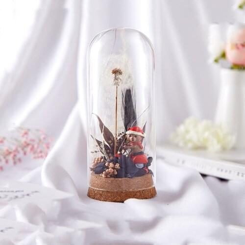 6*15cm Cork Base Cylinder Shape Glass Dome Home Decoration Diameter=6cm Diameter=15cm Glass Cover Vase Gift Wedding Decoration