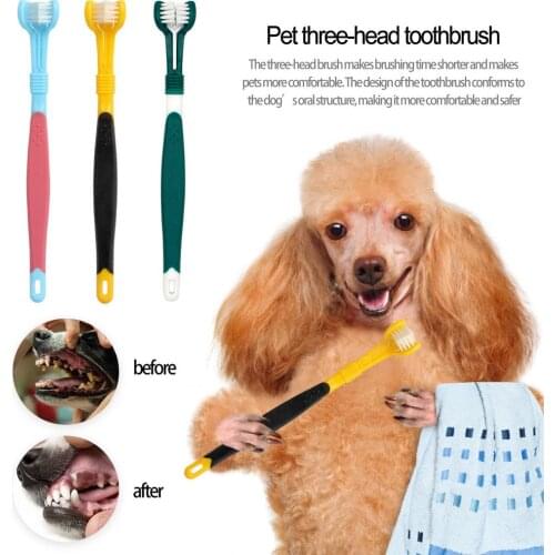 Pet Toothbrush Three-Head Toothbrush Multi-angle Cleaning Addition Bad Breath Tartar Teeth Care Dog Cat Cleaning Mouth Suppliers