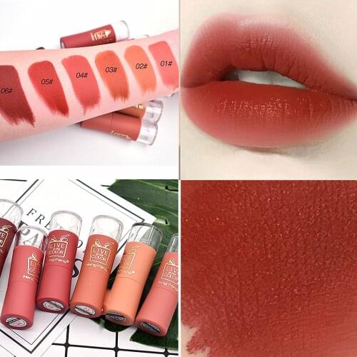 Matte Lipstick Long-Lasting Non-Discoloring Velvet Matte Lipstick Makeup Waterproof Lip Gloss labiales mate larga duracion