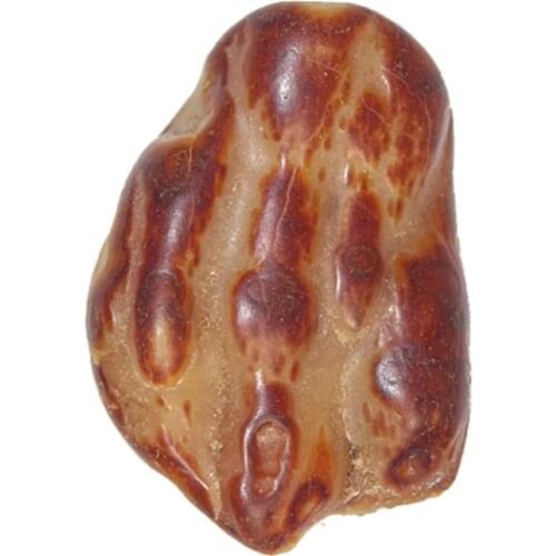 Natural Fossil Art Claw Shape Stone Reiki Minerale Gem Healing Crystal Quartz Gift Home Decoration Spirit Meditation Feng shui