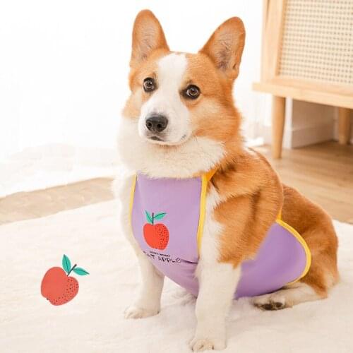Fashion Dog Corgi Fruit Print Dudou Encircle Waterproof Clothes Cat Cold Protect Belly Pet Belly Protection Summer Teddy T-Shirt