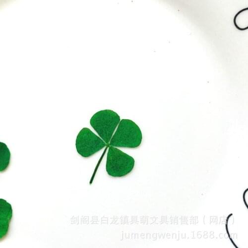 10Pcs Dried Leaf Clover UV Resin Decor Nail Art Epoxy Mold DIY Filling Jewelry T84A
