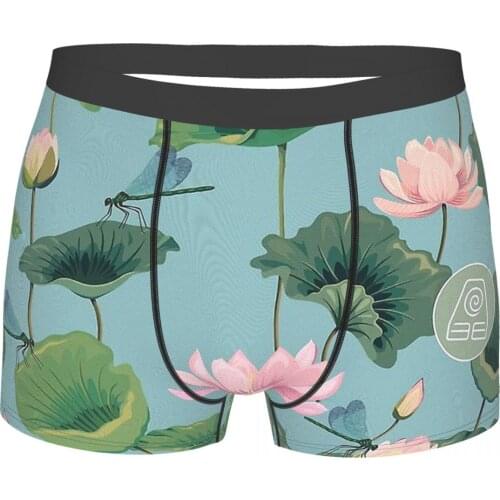 Earth Kingdom Avatar The Last Airbender Katara Aang Sokka Zuko Animated TV Series Underpants Breathbale Panties Male Underwear