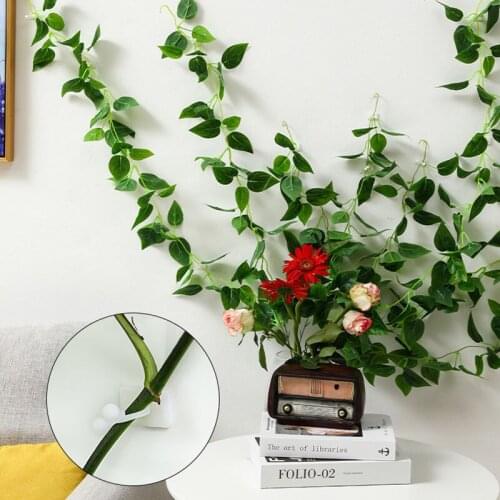 2Colors Fastener 10Pcs/Pack Resin Wall Climbing Clips Garden Plant Supplies L/M/S Tied Fixture Self-Adhesive Vine Buckle Hook