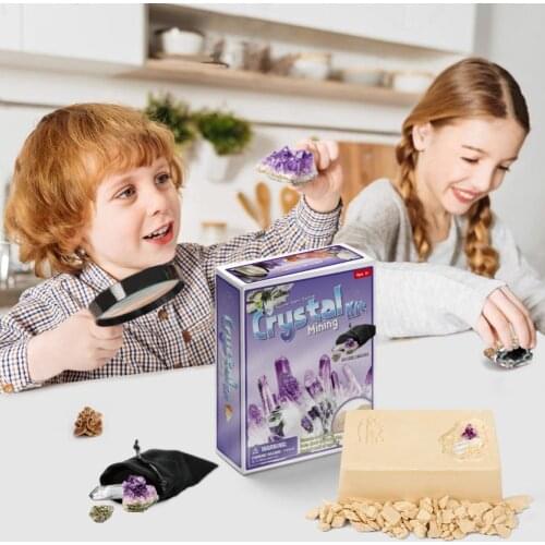 DIY Archaeological Excavation Faux Crystal Fossil Mining Kit Kids Education Toy Arts class DIY Craft Assembly toys