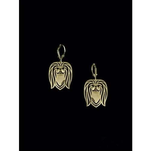Trendy Cute Pekingese Drop Earrings Gold and Silver Color Plated Dog Earrings For Women From India Gift Aros