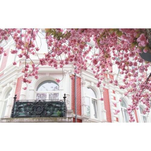 Cherry Blossoms Against White And Pink House background High quality Computer print wedding backdrop