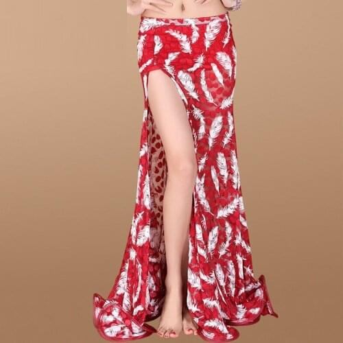 Lady Belly Dance Skirt Adult Summer Belly Dancing Costumes Female Sexy Underdress Womens Rumba Sambe Dance Suit D-0103