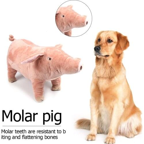 Dog Bite-Resistant Molars Accompany Sleeping Pig Pet Plush Toy Doll Teddy Gritting Resistant Molar Bite Resistant Supplies