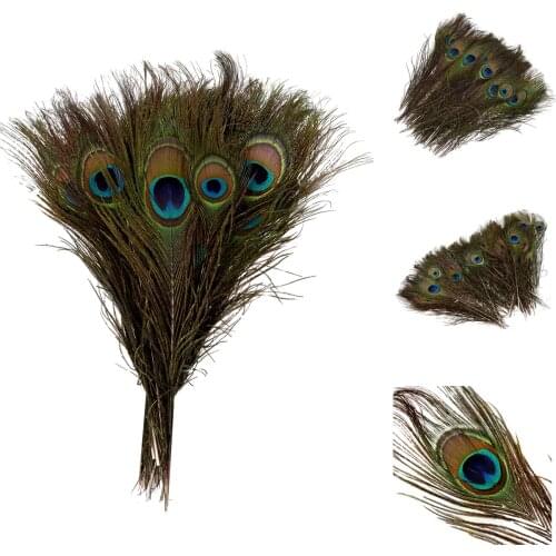 Promotion! Natural Peacock Feathers 10-12