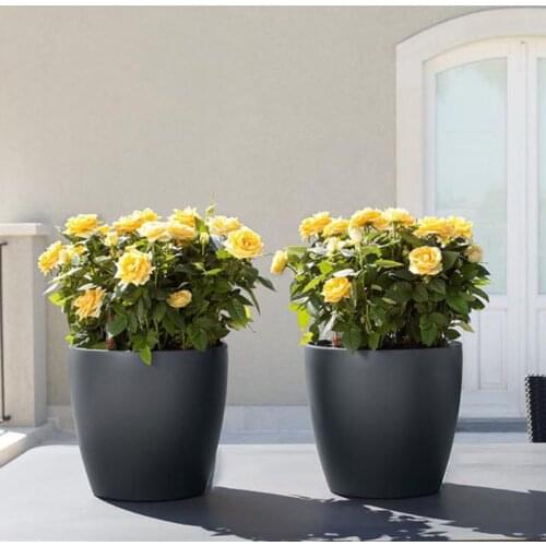 PP Self Watering Planters Flower Pots Indoor with Water Level Indicators 6x5