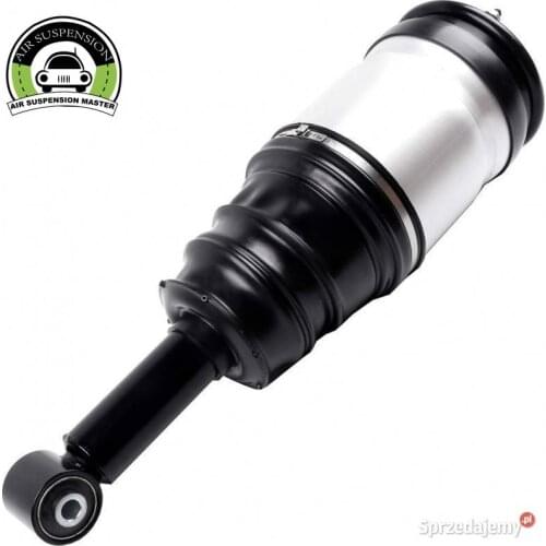 Free Shipping Rear Air Strut for Range Rover Sport (2005-2014) OE# RPD501100 RPD501090 RPD500880 RPD000308 RPD000309 RPD501110
