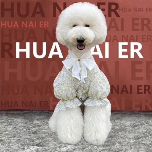 Pet Dog Product Fashion Giant Poodle Clothes