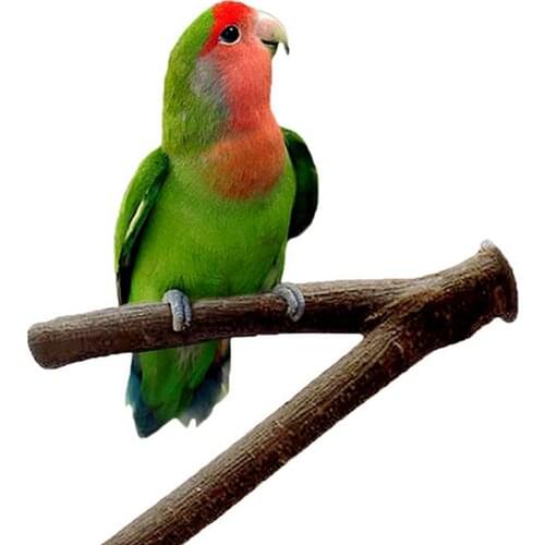 Pet Parrot Raw Wood Fork Stand Rack Toy Branch Perches For Bird Hamster Cage