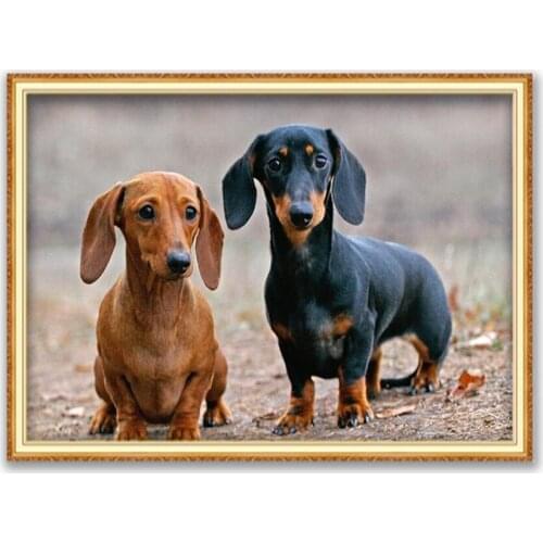 Animal Dachshund DIY Embroidery Cross Stitch 11CT Kits Craft Needlework Set Printed Canvas Cotton Thread Home Decoration On Sale