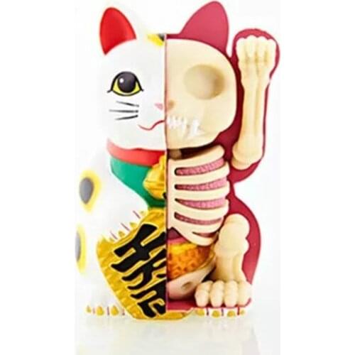 4D MASTER Small fortune cat ornament decoration cat skeleton viscera anatomy gift toy model genuine