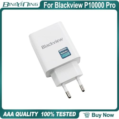 New Original USB Power Adapter Charger For Blackview P10000 Pro EU Plug Travel 5V5A TPYE-C USB Cable Data Line Charging Cable