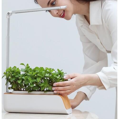 Garden Plant Growing Machine Hydroponics Growing System Indoor Herb Garden Kit with Grow Light Smart Garden for Home and Kitchen