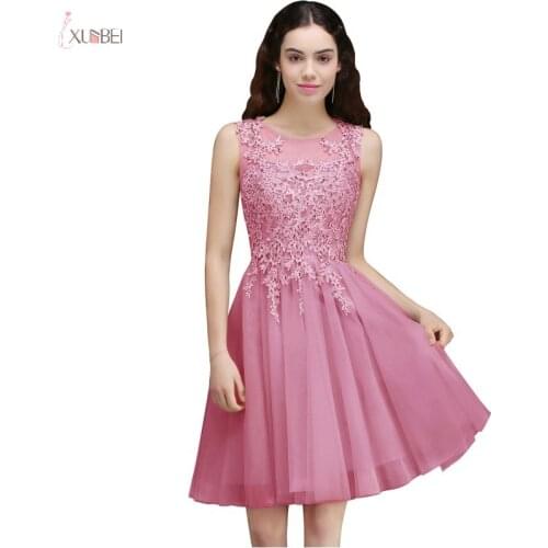 Tulle Homecoming Dresses 2019 Pink Short Graduation Gown Elegant A line Lace Sleeveless vestidos de graduacion