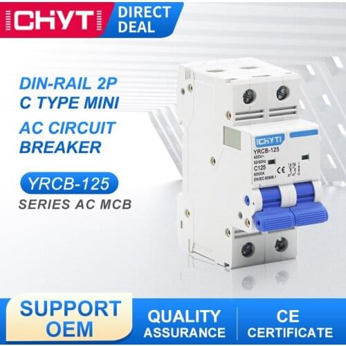 YRCB-125 400V 2P 100A 125A 6KA C Type Din Rail Mounting Air Switch Miniature Household AC Mini Circuit Breaker MCB